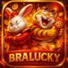 Logo da BRALUCKY